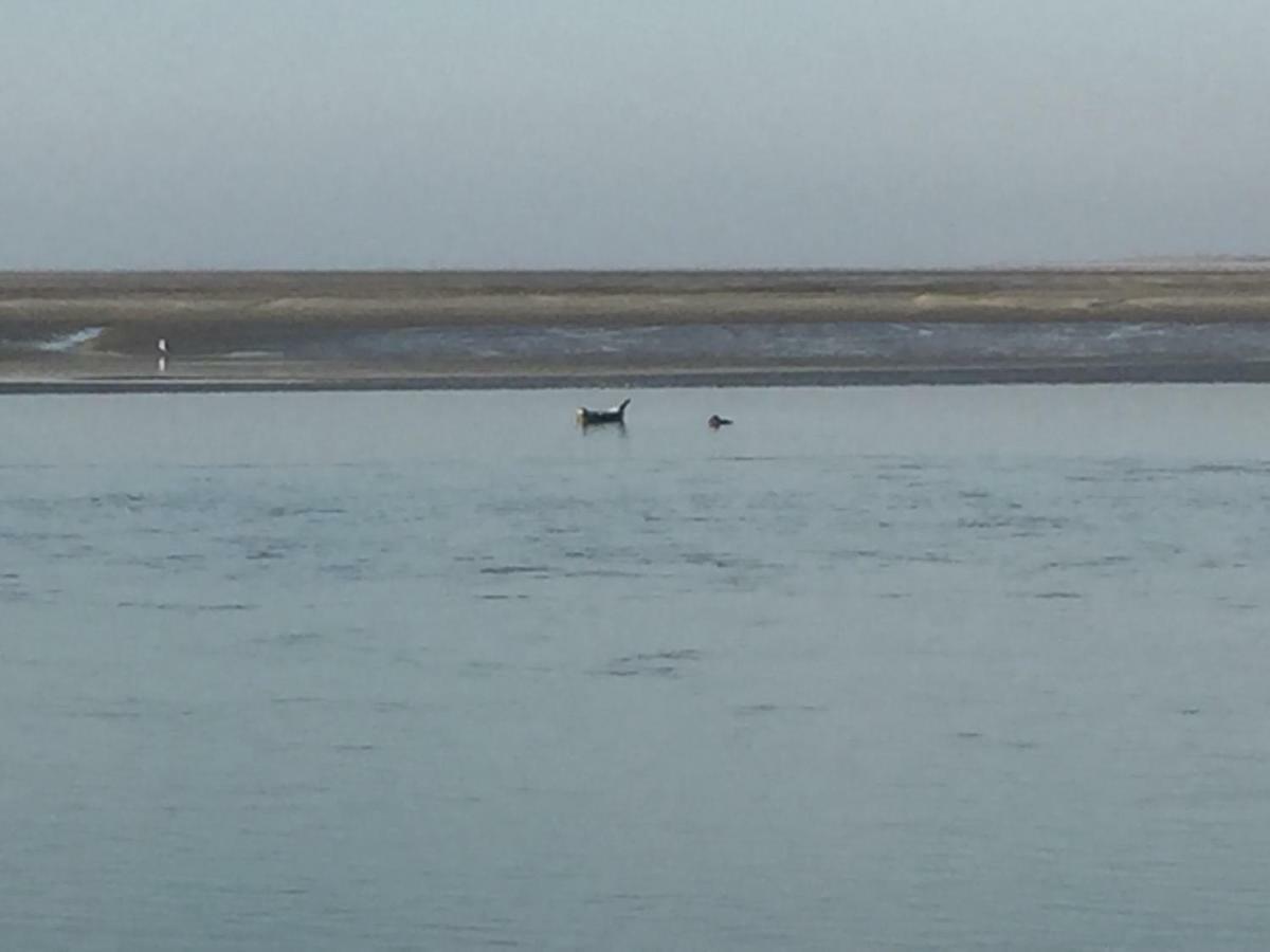 Appartement Baie De Somme, Cayeux Sur Mer, Villa Jacques Mathilde Luaran gambar